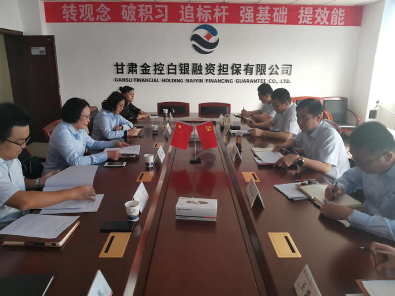 陈梅一行到乐天堂fun88白银担保调研工作