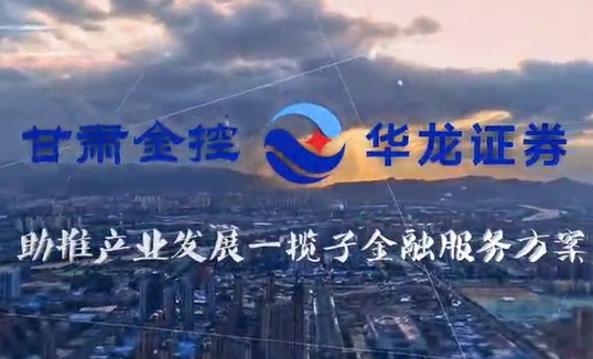 甘肃乐天堂fun88集团助推产业发展一揽子金融服务方案汇报片